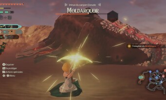 Hyrule Warriors : Les Chroniques du Sceau