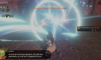 Hyrule Warriors : Les Chroniques du Sceau