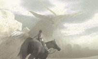 ICO and Shadow of the Colossus Collection