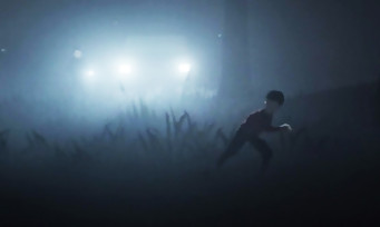 INSIDE : une course-poursuite en pleine forêt dans cette vidéo de gameplay