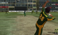 International Cricket 2010