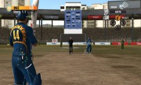 International Cricket 2010