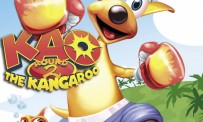 Kao The Kangaroo : Round 2