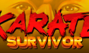 Karate Survivor