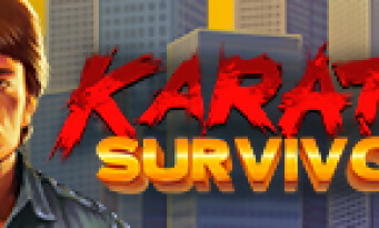 Karate Survivor