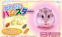 Kawaii Hamster