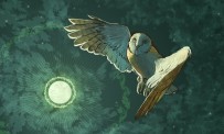 Premières images Wii et DS de Legend of The Guardians : The Owls of Ga'Hoole
