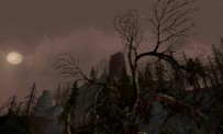 Le Seigneur des Anneaux Online : Le Siège de la Forêt Noire