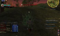 Le Seigneur des Anneaux Online : Les Ombres d'Angmar