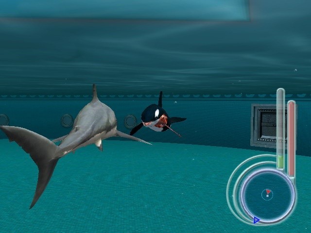 Сега игры дельфин. Jaws unleashed 2. Jaws unleashed ps2. Jaws unleashed акула. Игра про дельфина на ПК.