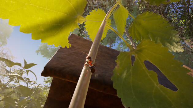 Les Fourmis