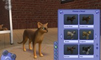 Les Sims 2 : Animaux & Cie