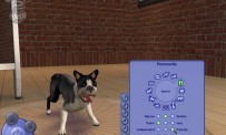 Les Sims 2 : Animaux & Cie