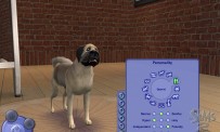 Les Sims 2 : Animaux & Cie