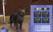 Les Sims 2 : Animaux & Cie