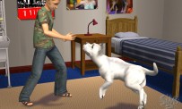 Les Sims 2 : Animaux & Cie