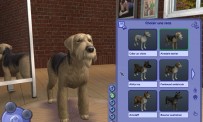 Les Sims 2 : Animaux & Cie