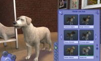 Les Sims 2 : Animaux & Cie