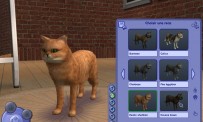 Les Sims 2 : Animaux & Cie