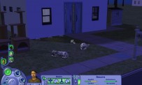 Les Sims 2 : Animaux & Cie