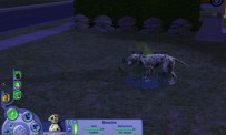 Les Sims 2 : Animaux & Cie