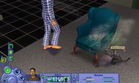 Les Sims 2 : Animaux & Cie