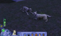 Les Sims 2 : Animaux & Cie