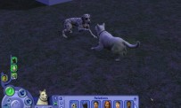 Les Sims 2 : Animaux & Cie