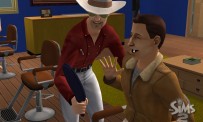 Les Sims 2 : La Bonne Affaire