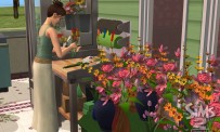 Les Sims 2 : La Bonne Affaire