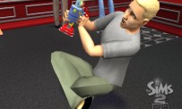 Les Sims 2 : La Bonne Affaire