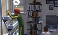 Les Sims 2