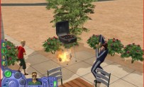 Les Sims 2