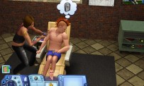 Les Sims 3 : Ambitions