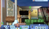 Les Sims 3 : Ambitions