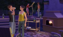 Les Sims 3 Jardin de Style