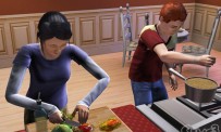 Les Sims 3