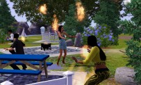 Les Sims 3