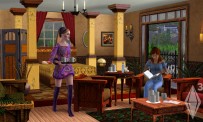 Les Sims 3