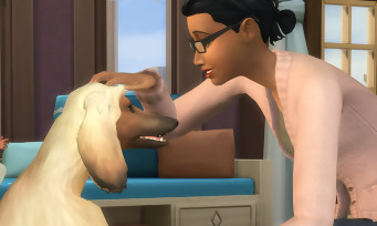 Les Sims 4 Chiens et Chat : trailer de gameplay dédié à la création d'animaux