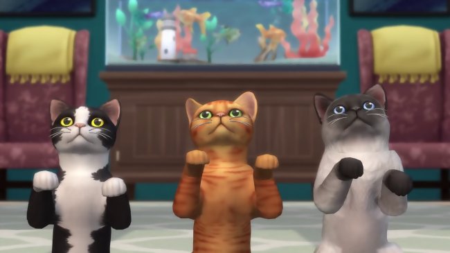 Les Sims 4 Chiens Et Chats Un Trailer Sur Pc Avec Du Gameplay