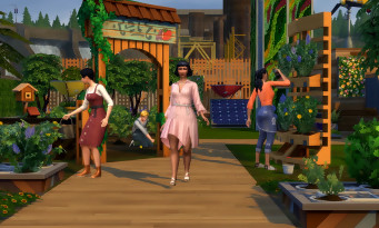Les Sims 4 Ecologie