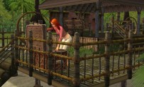 Les Sims : Histoires de Naufragés