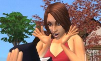 Les Sims : Histoires de Vie