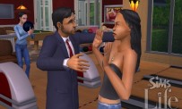 Les Sims : Histoires de Vie