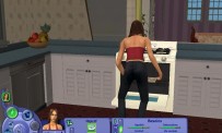 Les Sims : Histoires de Vie