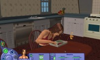 Les Sims : Histoires de Vie