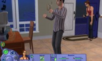 Les Sims : Histoires de Vie