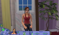 Les Sims : Histoires de Vie