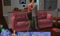 Les Sims : Histoires de Vie